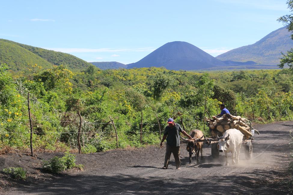 Le Cerro Negro, depuis la piste d'accès