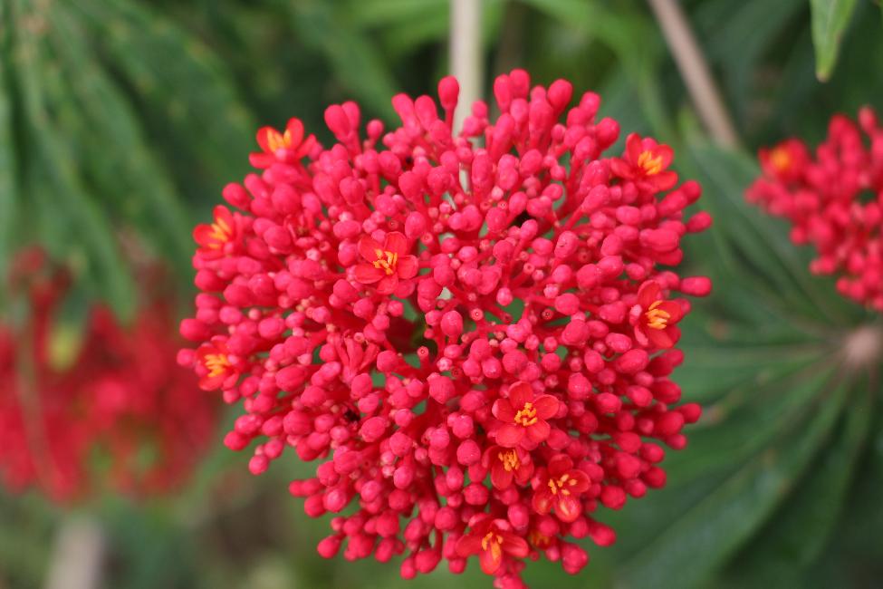 Réserve de Charco Verde