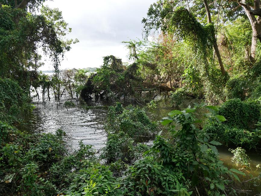 Réserve de Charco Verde