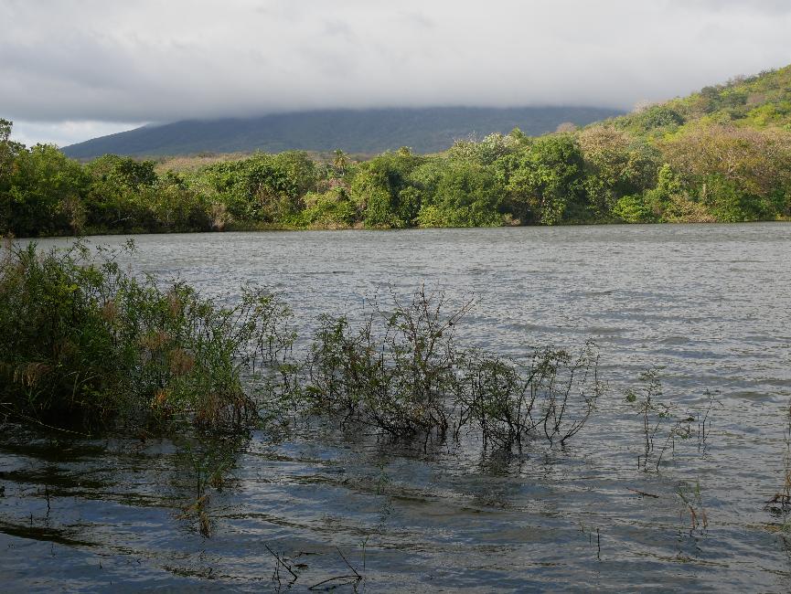 Réserve de Charco Verde