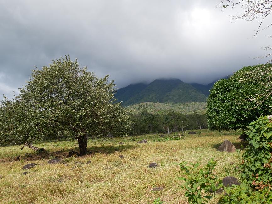 Montée vers la cascade de San Ramon ; le Maderas