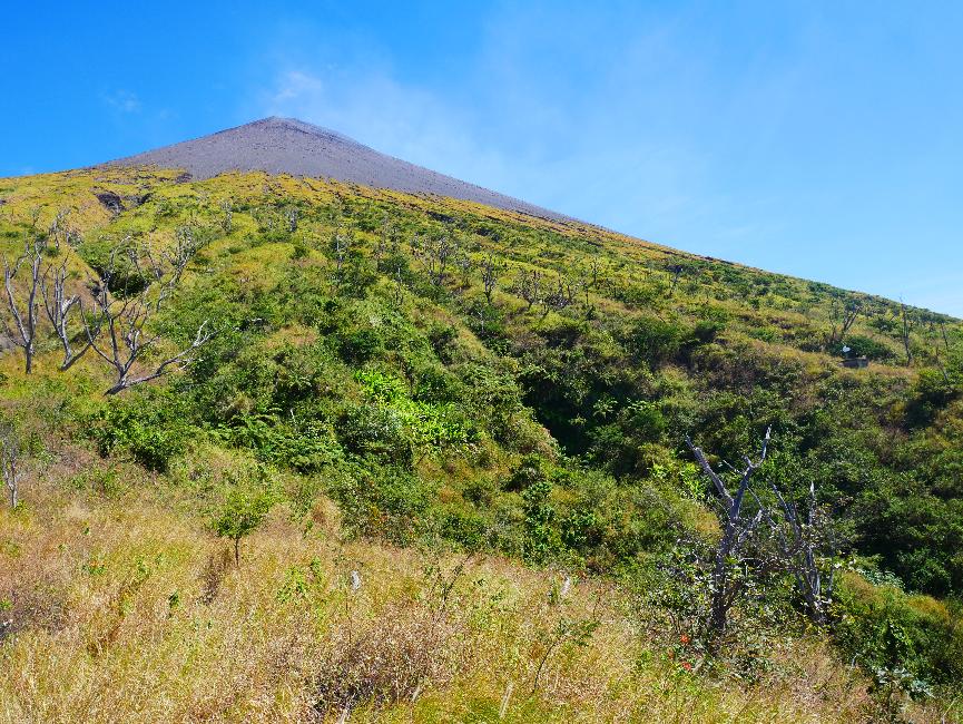 Traversée de la forêt, dans la partie basse