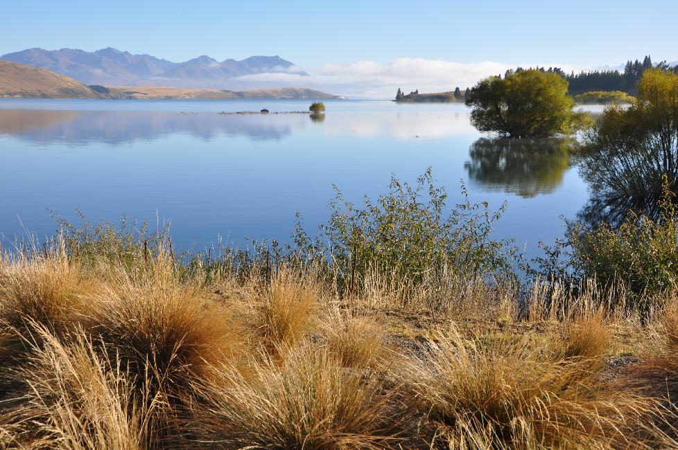 Lac Tekapo