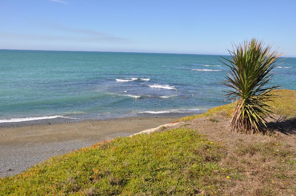 Timaru ; le Pacifique