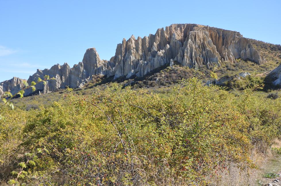 Clay Cliffs
