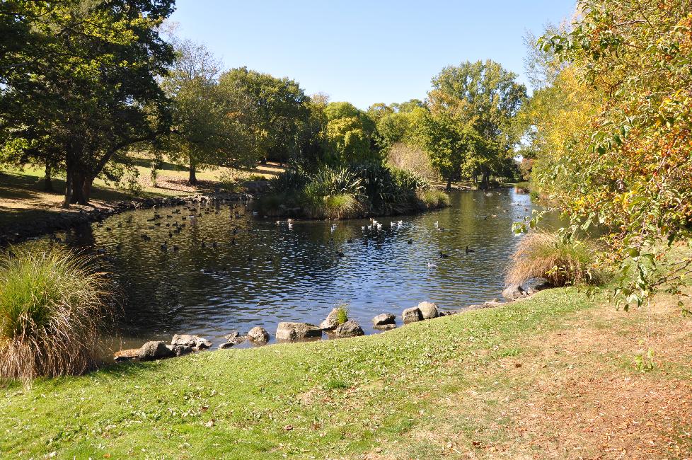 De Twizel à Christchurch