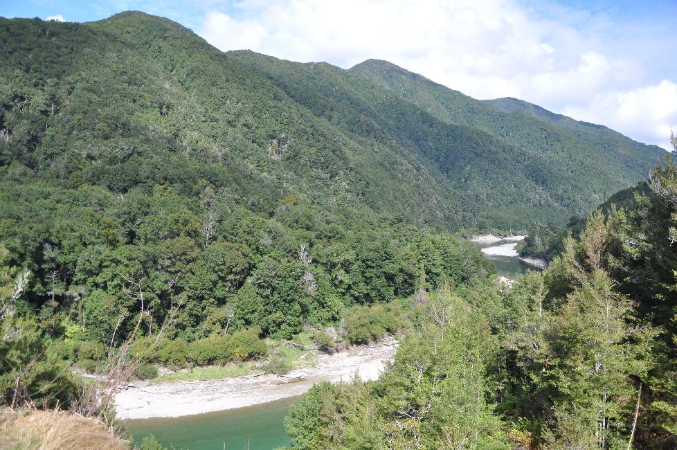 Route entre Nelson et Greymouth ; gorges de Buller