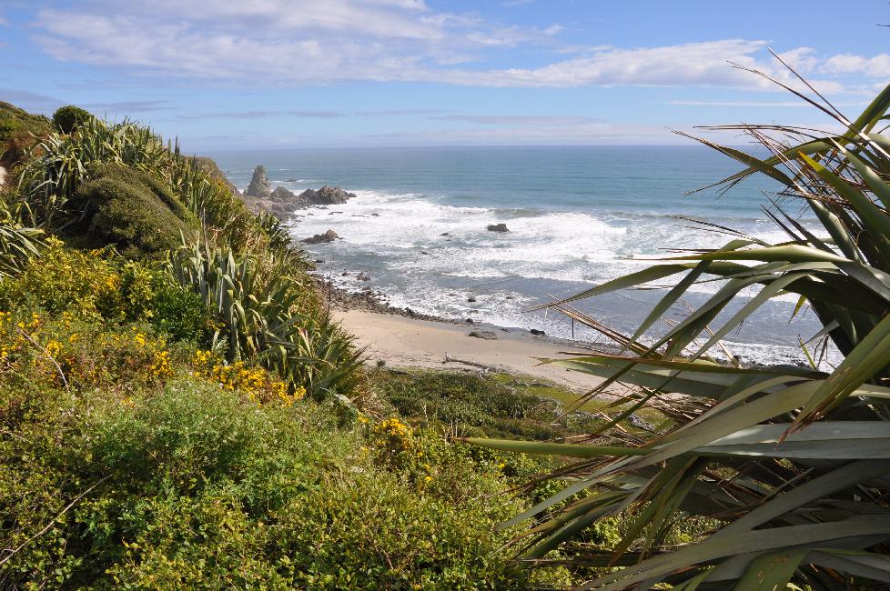 Cape Foulwind ; balade sur la falaise