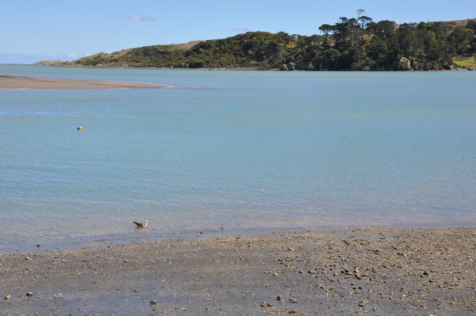 Côte de la mer de Tasmanie, Raglan