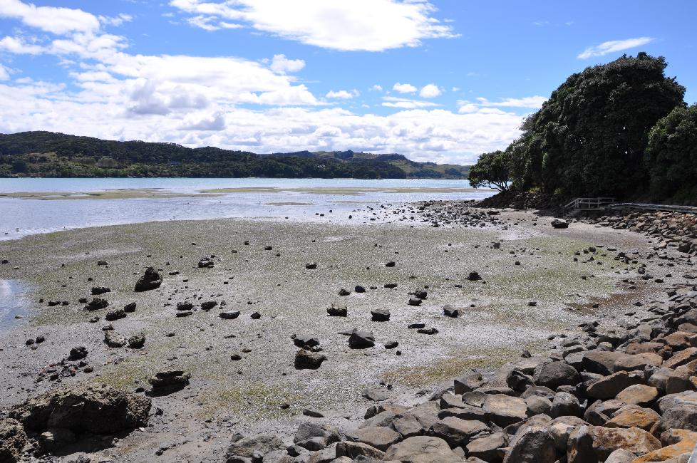 Côte de la mer de Tasmanie, Raglan