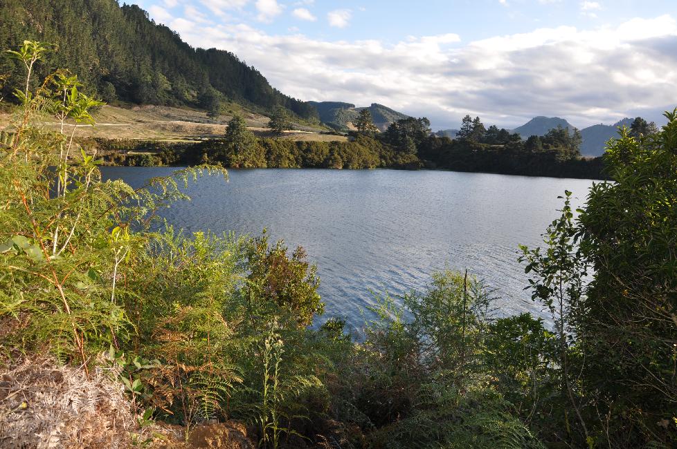 Lac sur la rivière Waikoto (entre les grottes de Waitomo et Roturoa)
