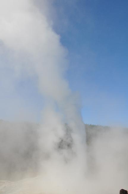 Wai-O-Tapu ; site du geyser