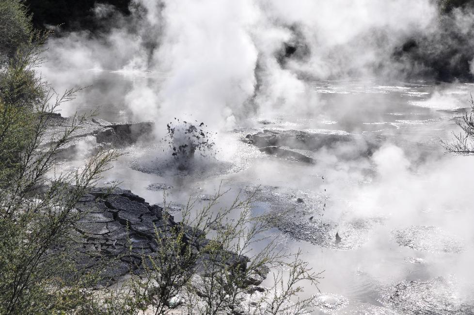 Wai-O-Tapu ; mud pool
