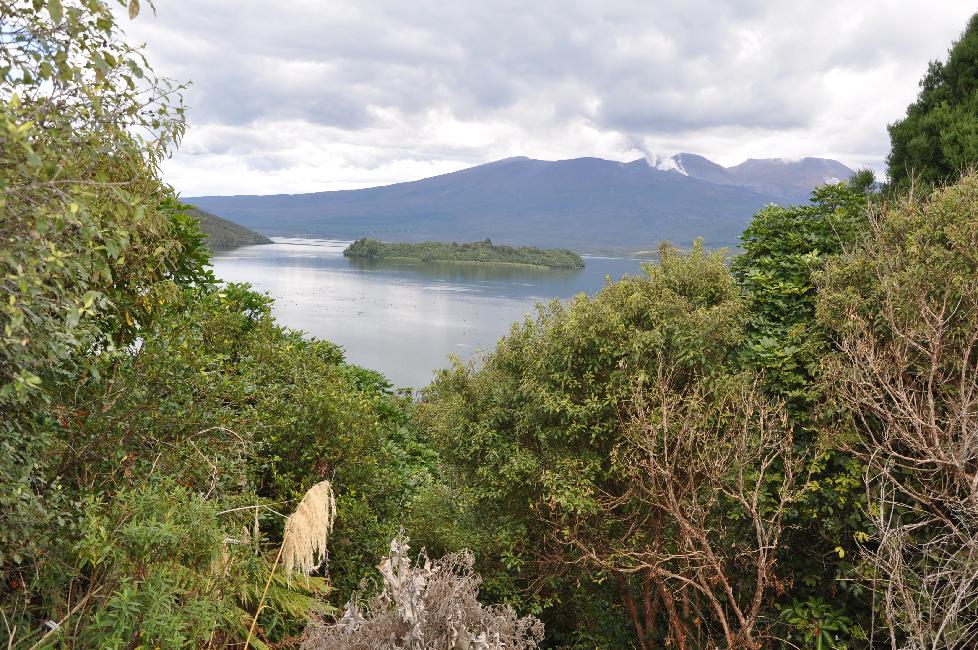 Lac de Rotoaira ; vue sur le Tongariro, zone interdite depuis l'éruption de 2012