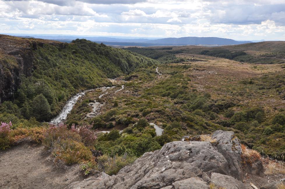 Balade dans le parc de Tongariro (Taranaki Falls) ; le Wairere