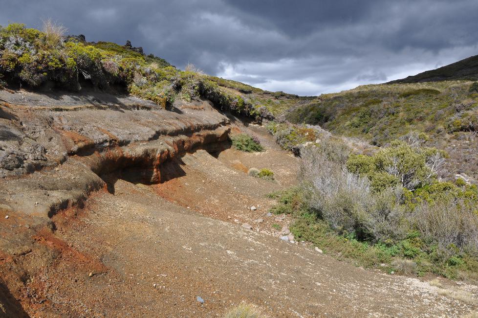Balade dans le parc de Tongariro (Taranaki Falls)