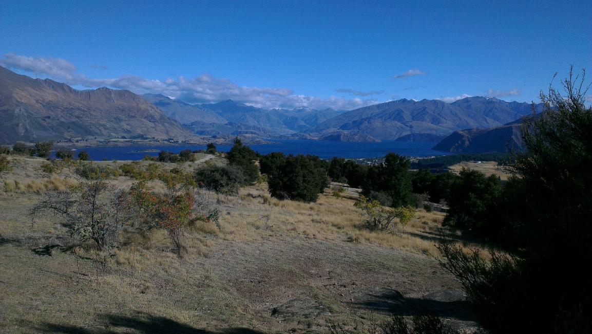 Wanaka ; balade sur le mont Iron ; lac de Wanaka