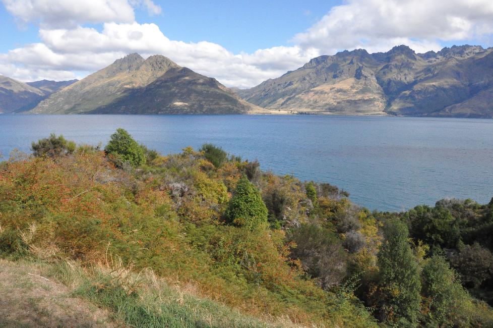 Pique Nique en face d'Half Way Bay ; le lac Wakatipu
