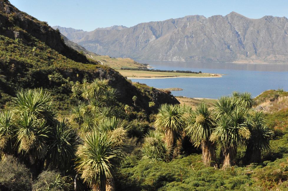 Lac Hawea