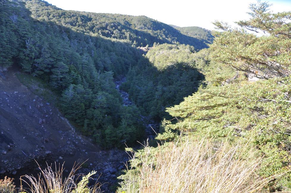 Balade vers Waitonga Falls