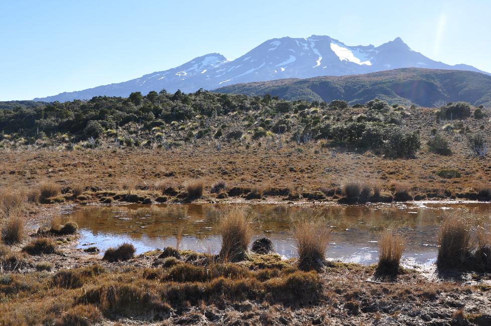 Balade vers Waitonga Falls ; vue vers le mont Ruhapeu