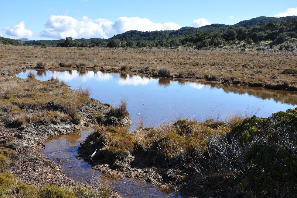 Balade vers Waitonga Falls