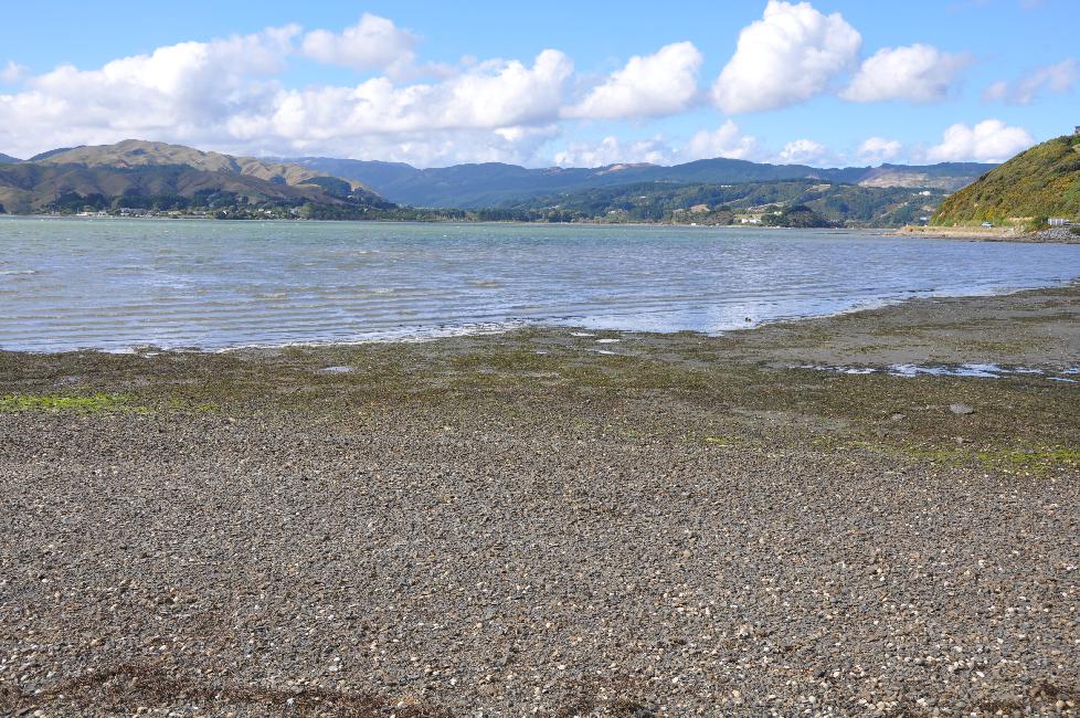 Arrivée à Wellington ; baie de Plimmerton