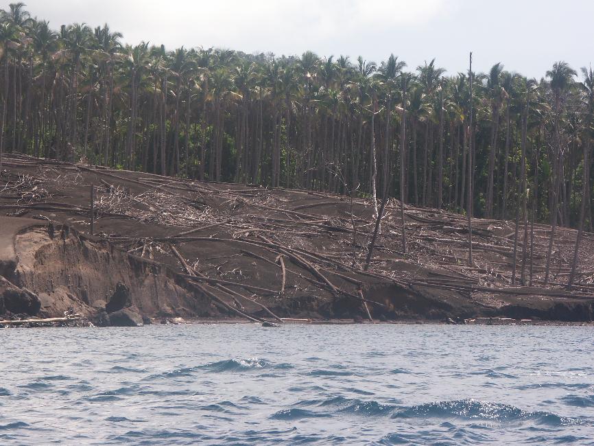 Au débouché d'une des 4 vallées, cette nuée a dévasté la forêt