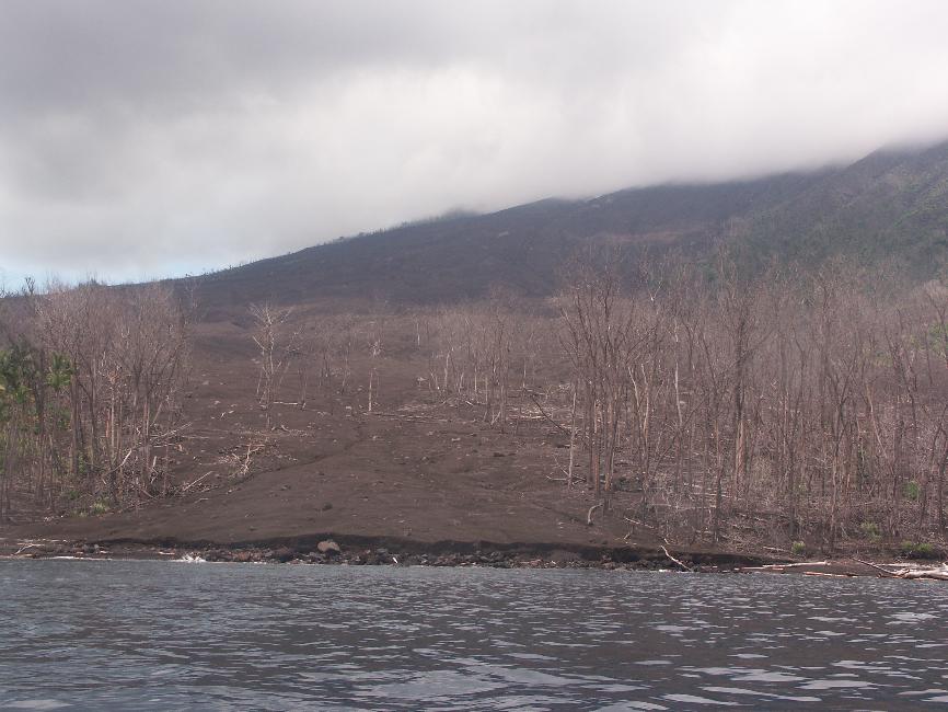 Cette rive de l'île a subi des dégâts importants