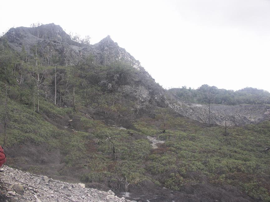 Arrivée au sommet, à l'orée de la forêt