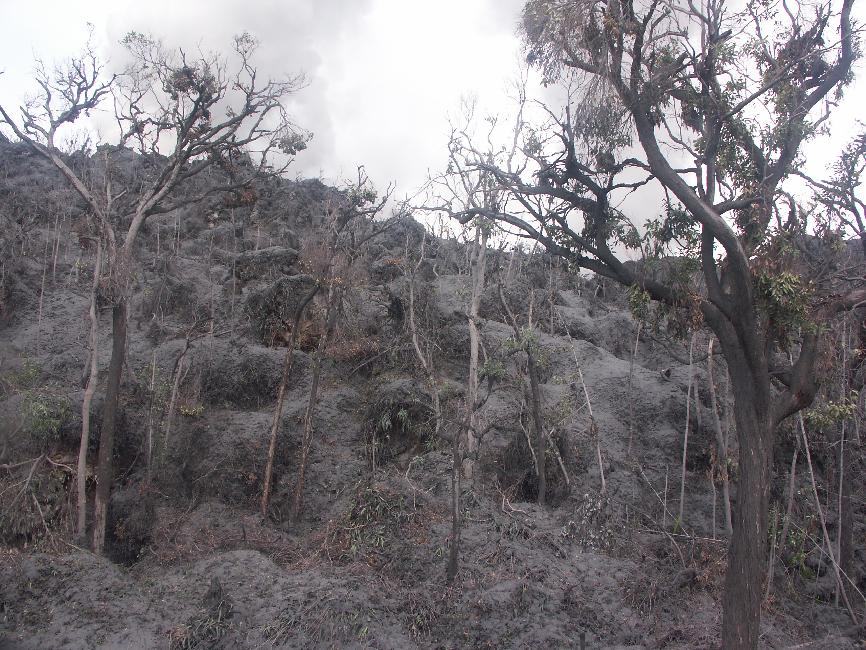 Zone dévastée par les retombées de cendre, transformée en boue collante