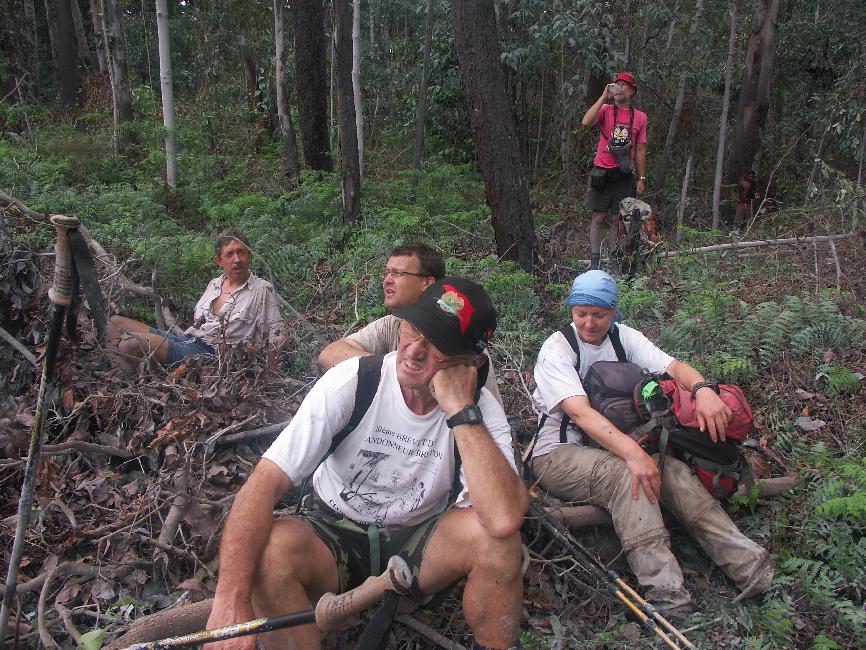 Repli stratégique : nous revenons à l'orée de la forêt pour observer le Garbuna