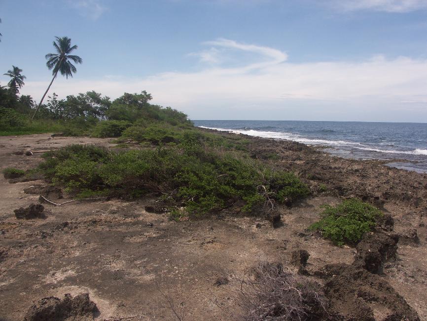 Pause sur le rivage corallien, entre Madang et Manam