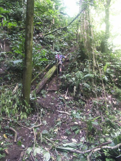 La redescente même dégagée à la machette n'est pas toujours évidente...