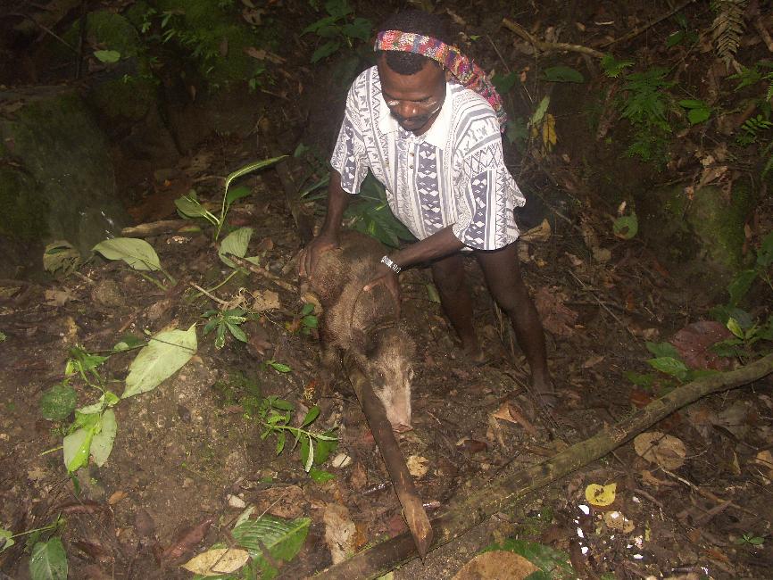 Le chasseur et sa prise : un cochon sauvage