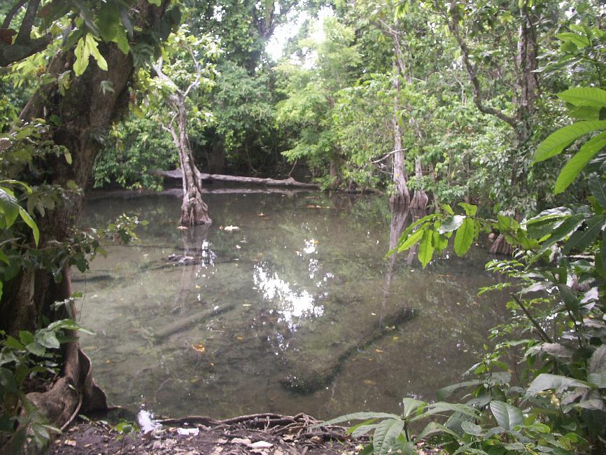 Embouchure d'une petite rivière à Vavua