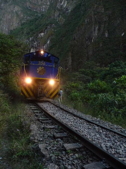 Rencontre dangereuse, sur le chemin du retour