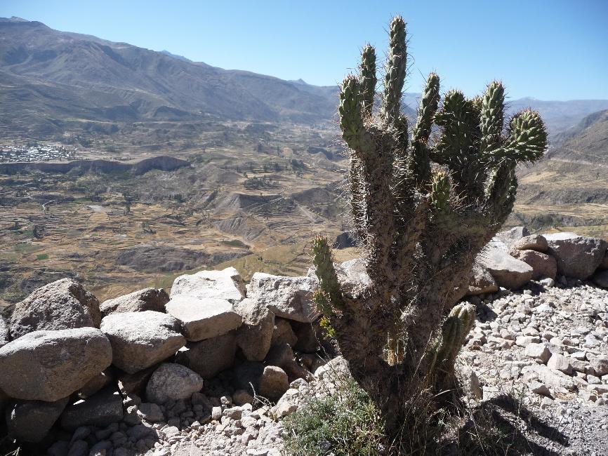 Canyon de Colca