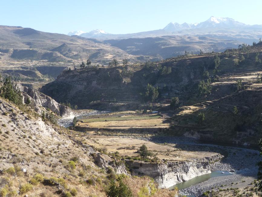Yanque ; vue vers l'Ampato, le Sabancaya 