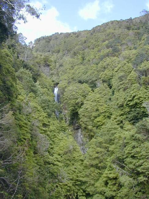 Cascade sur la côte Sud