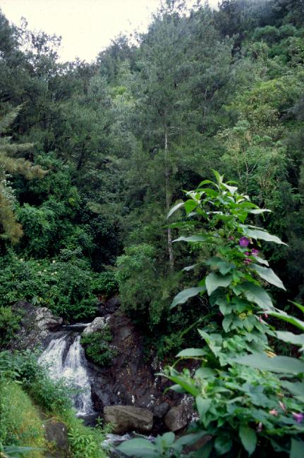 Le Bras Sec, au niveau des anciens thermes