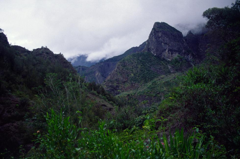 Une remontée de lave a mieux résisté à l'érosion que son environnement