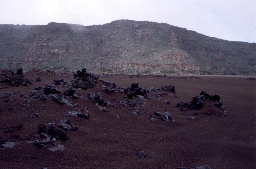 Quelques grattons, sur un fond de scories