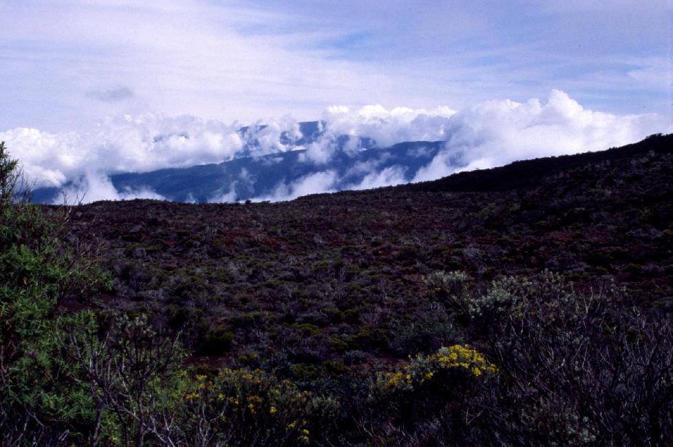 Le sommet du piton des neiges (3069m) est au fond, à la limite des nuages