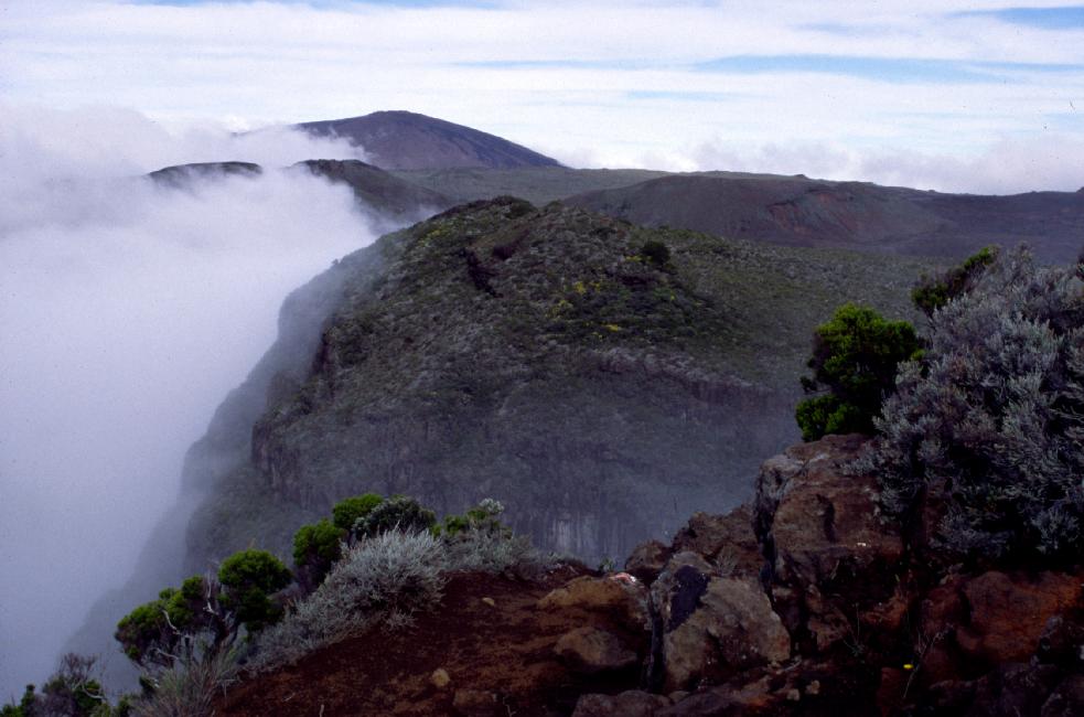 L'enclos est toujours dans les nuages. Nous n'en aurons pas vu le fond aujourd'hui !