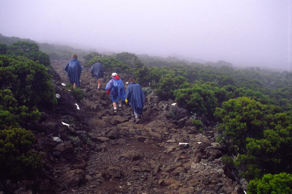 Entre le Maïdo et la Glacière ; les capes de pluie ne sont pas là que pour la photo !