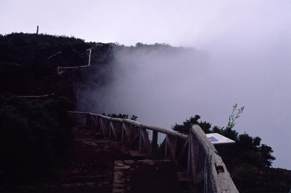 Il paraît que le panorama vers le cirque de Mafate est magnifique !