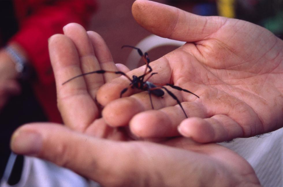 Qu'elle est douce au contact ; pourtant, Sylvie n'apprécie pas.