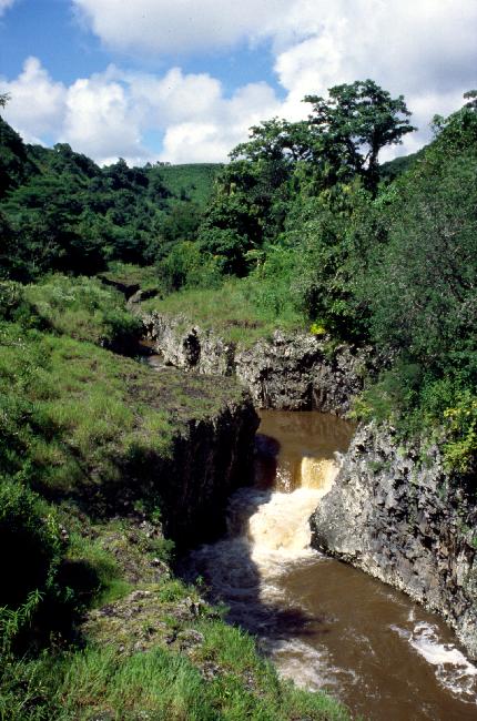 La rivière des Roches, au bassin La Paix