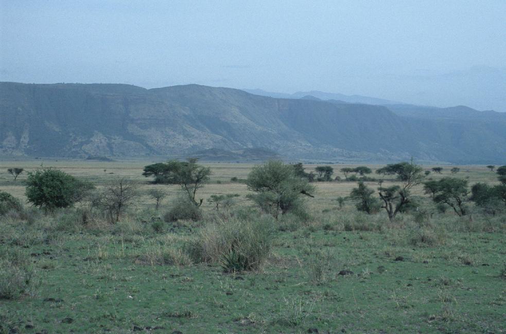 Savane au pied de la falaise du rift est-africain